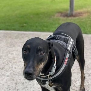 Meet your Posher, Jane